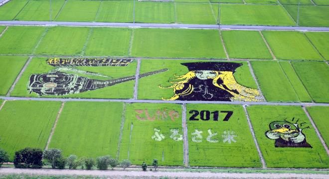 こしがや田んぼアート2017