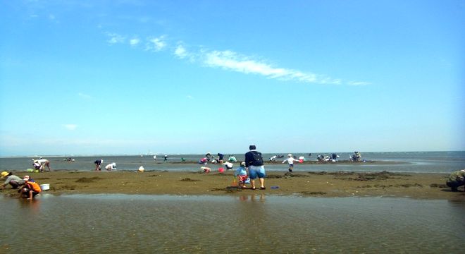 千葉県の潮干狩りスポット 木更津海岸 牛込海岸 富津海岸 疑問を解決