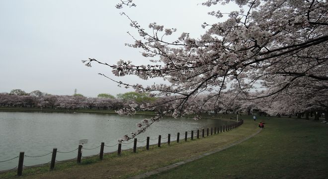 花曇り