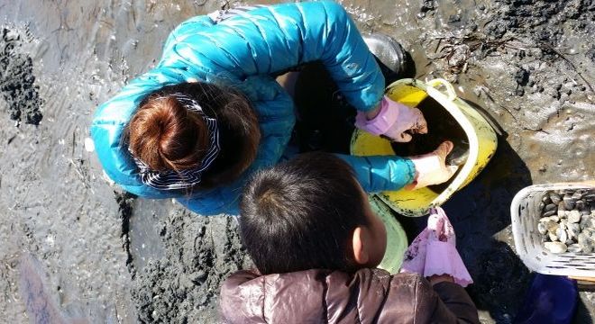 茨城の潮干狩りスポット