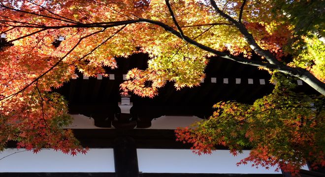 京都の紅葉スポット