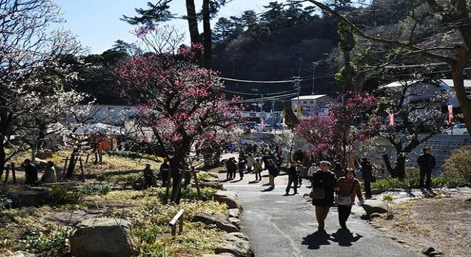 熱海梅園