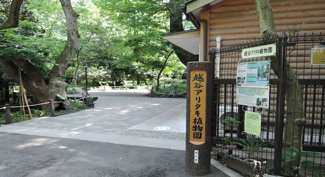 越谷アリタキ植物園