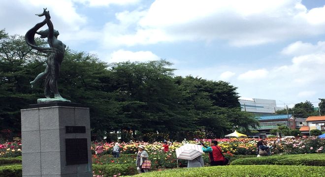 与野公園のバラ園