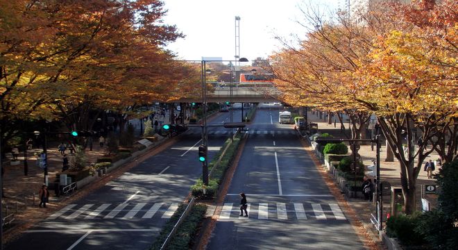 千葉県の紅葉名所