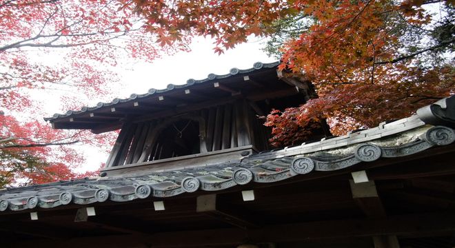 愛媛県の紅葉名所