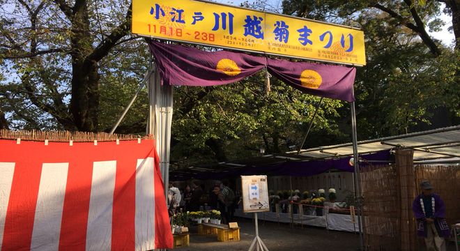 小江戸川越菊まつり会場